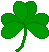 Shamrock